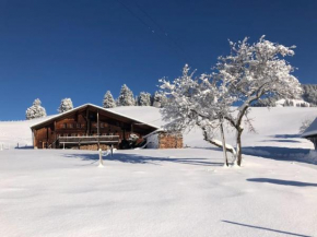 Renovated Chalet on Top of the Picturesque Village